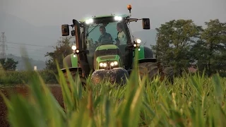 Deutz TTV 7250 AT WORK - Agromeccanica Assanelli