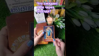 ЧТО ОЖИДАЕТ ТЕБЯ ЧЕРЕЗ ПОЛГОДА⁉️