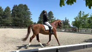 USDF First level test 3, 62.3%