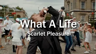 Scarlet Pleasure | What A Life {lyrics}