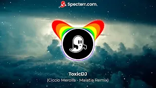 Ciccio Merolla - Malatia ( Remix)