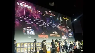 SDCC: MCU Phase 4 Panel