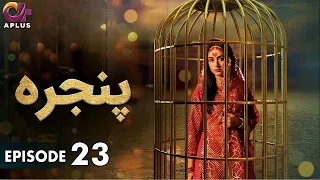 Pakistani Drama | Pinjra - Episode 23 | Aplus Gold | Yumna Zaidi, Nauman Aijaz | CZ1O
