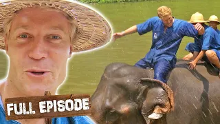 Training as an Elephant Mahout in Thailand 🐘 | Travels with the Bondi Vet Episode 8 | Untamed