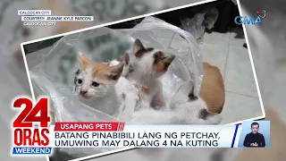 Batang pinabibili lang ng pechay, umuwing may dalang 4 na kuting | 24 Oras Weekend