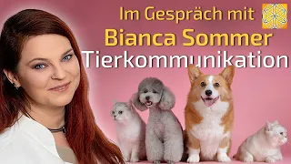 Wie Tierseelen unsere Entwicklung unterstützen! - Tierkommunikation | Bianca Sommer im Gespräch