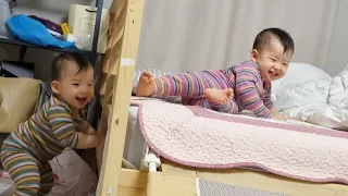 [HATAE TV] [Eng sub] 스스로 서 있을 수 있게 됐어요 12개월 육아로그 젤리캣 좋아하는 쌍둥이 K baby Korean baby twins
