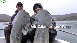 Top-Welsköder | Mit Tintenfisch auf große Waller [HD]