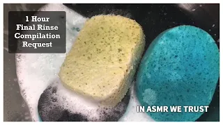 1 Hour Final Rinse Compilation (YT & FB Request) ~ ASMR Sponge Rinsing | Timestamps included