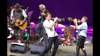 Die Toten Hosen + Well-Brüder + Gerhard Polt - Forever live in Zürich 2023