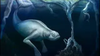 Mysterious Sea creature Ningen|#shorts#factshorts#mysterious