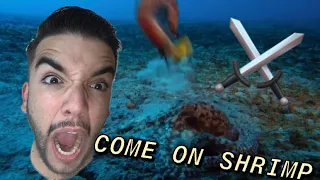 Mantis Shrimp vs Octopus | Ocean Fight Night [REACTION]