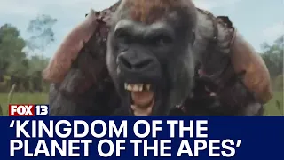 'Kingdom of the Planet of the Apes' review with Adam at the Movies