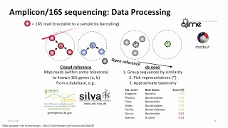 Introduction to Metagenomics for Researchers