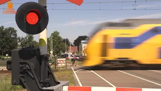 DUTCH RAILROAD CROSSING - Sint Odiliënberg - Groot Bergerweg