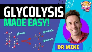 Glycolysis Made Easy!