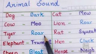 Animal sounds | Sounds made by animals | Animal sound names | Class 1,2 | EVS