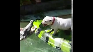 Gollum fighting off a Croc trying to get onto his Kayak