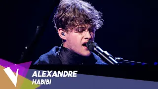 Tamino - 'Habibi' ● Alexandre | Live 4 | The Voice Belgique Saison 11