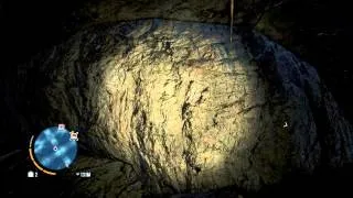 Far cry 3: Boar relic 8