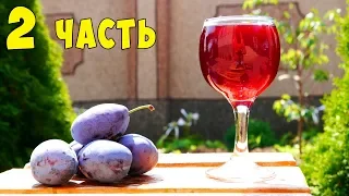 ВИНО ИЗ СЛИВЫ !!! Сливовое вино ПРОСТОЙ РЕЦЕПТ Часть 2