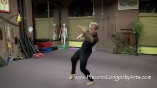 Kung Fu Cripple, Drunken Boxing Lesson 1