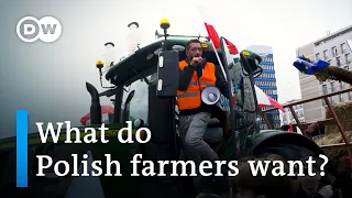 Polish farmers take to the streets over Ukrainian imports | Focus on Europe