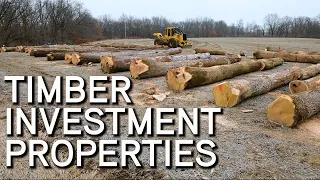 Timber Investment Properties | What To Look For