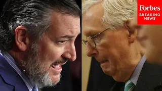 McConnell Asked Point Blank About Ted Cruz's Calls For Him To Step Down As Leader After Border Bill