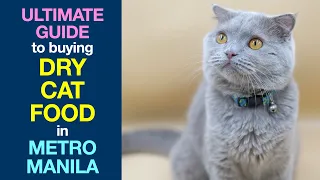 Ultimate Guide to Buying DRY CAT FOOD in Metro Manila