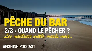 Pêche du bar facile en bord de mer - 2/3 - Quand le pêcher ?