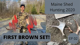 MOOSE ANTLER SET!! -- Maine Shed Hunting EP 02 -- Beyond the Boundaries 2020