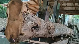 Kadir teak tree assets in sawmill saws are the best construction materials