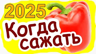 Когда сажать Перец на рассаду в 2023 году