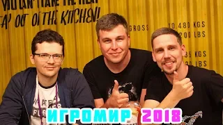 КАК Я СХОДИЛ НА ИГРОМИР 2018 - Компы, Железки и Пивас