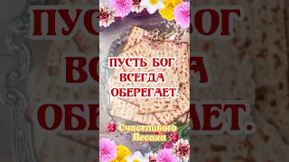 С праздником ПЕСАХ! 🌺 Красивое поздравление на Песах! 🌼 Музыкальная открытка #shorts