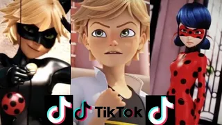 Miraculous Tiktok edits that made Adrien slap his dad