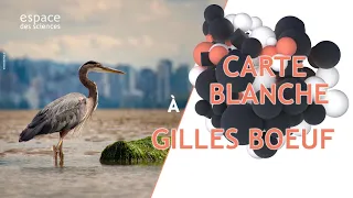 🦢 Carte blanche à Gilles Boeuf