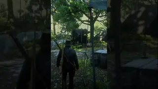 Karen farts RDR2