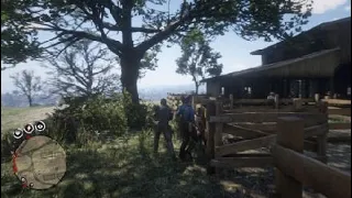 Red Dead Redemption 2 Valentine fighting and running over NPC's