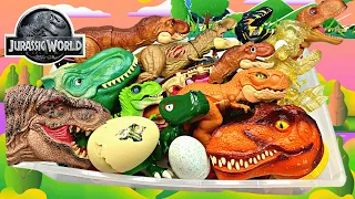 Life Finds A Way | Jurassic World | Kids Action Show | Dinosaur Cartoons 공룡