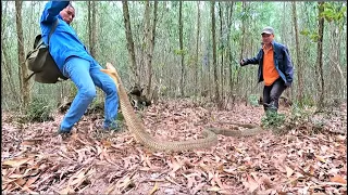 Rescuing a man who was attacked by poisonous snakes in the forest while visiting the forest.