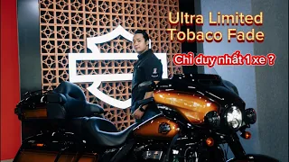 HARLEY-DAVIDSON ULTRA LIMITED PHIÊN BẢN TOBACO FADE 2024 | ĐỘC NHẤT VIỆT NAM | QUÁ XUẤT SẮC.