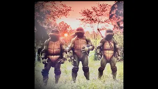 Teenage Mutant Ninja Turtles