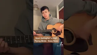 Noel Gallagher’s High Flying Birds - Easy Now (cover by Paul McCoy)