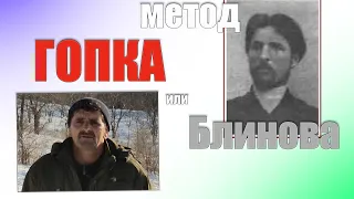 Пчеловодство метод блинова весной или метод Гопки какие плюсы и минусы этих методик