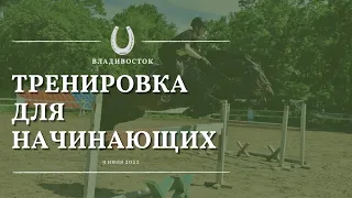 Конный спорт для начинающих во Владивостоке: тренировка