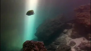 Devil's Den Video #1....Awesome Cavern Diving