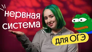 НЕРВНАЯ СИСТЕМА для ОГЭ ПО БИОЛОГИИ | Самая СЛОЖНАЯ ТЕМА