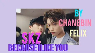 SKZ~Changbin & Felix ~ (Cause i like you) Letra